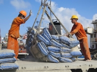 Ngành xi măng: dự báo bán trong nước tăng nhưng xuất khẩu chững lại