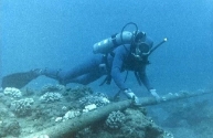 Sea fiber optic cable has only been repaired after the Lunar New Year