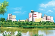 CHINFON CEMENT ANNOUNCES POLICY ON SAFETY, QUALITY AND ENVIRONMENTAL PROTECTION.