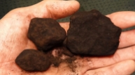 Transforming coal into the fuel of the future