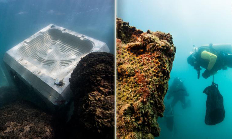 Picture for news item Bê tông tăng độ bền khi 'nuôi' sinh vật biển
